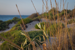 02-Ashdod-Yam