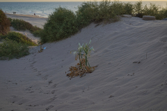 03-Ashdod-Yam