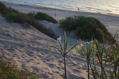 04-Ashdod-Yam
