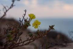 05-Sun-Set-At-Gahash-Beach