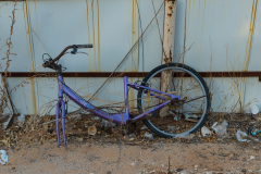 01-Back-Yard-ReEdited