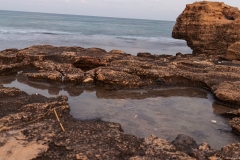 05-חוף-בצת