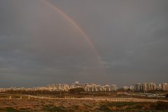 City-Scape-3