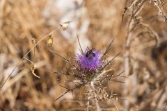 6d_MG_0031