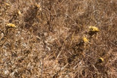 80d_MG_0016-2