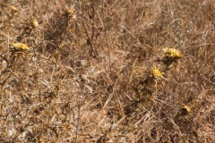 80d_MG_0016-3