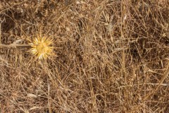 80d_MG_0018-2