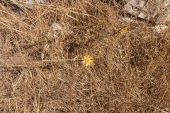 80d_MG_0018