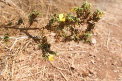 80d_MG_0024