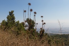 80d_MG_0031-2