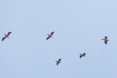 6d_MG_0038-2