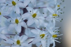 MG_0002-4