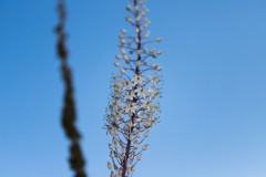 MG_0003-2