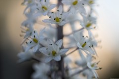 MG_0026