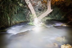 MG_0003