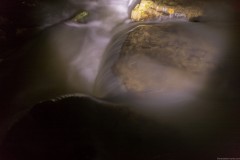 MG_0008