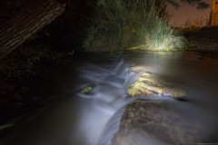 MG_0012