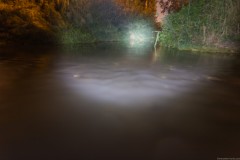 MG_0015