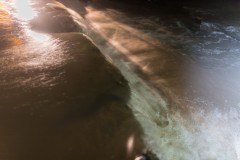 MG_0047