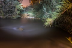 MG_0052