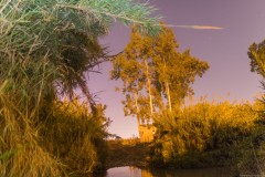 MG_0075