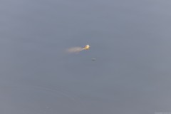6DMG_0023