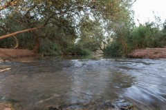 6D_mg_0025
