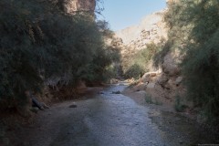 Eyn-Boqeq_80D0019