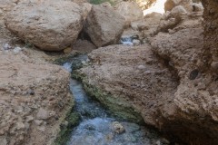 Eyn-Boqeq_80D0021