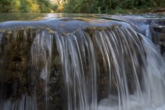 MG_0019-2