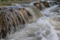 MG_0021-2