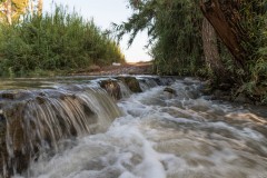 MG_0021
