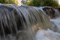 MG_0024