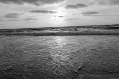 MG_0023-2