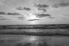 MG_0026-2