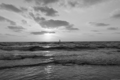 MG_0029