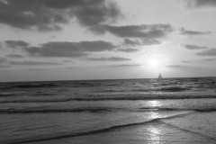 MG_0037-2