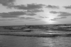MG_0041-2