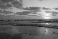 MG_0042-2