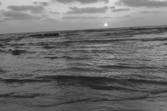 MG_0044-2