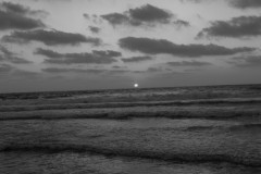 MG_0046-2