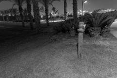 MG_0024