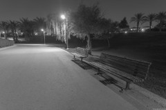 MG_0026-2