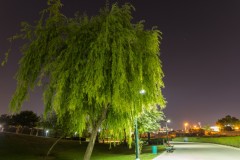 MG_0030