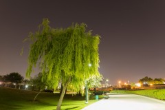 MG_0031