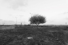 MG_0018-2
