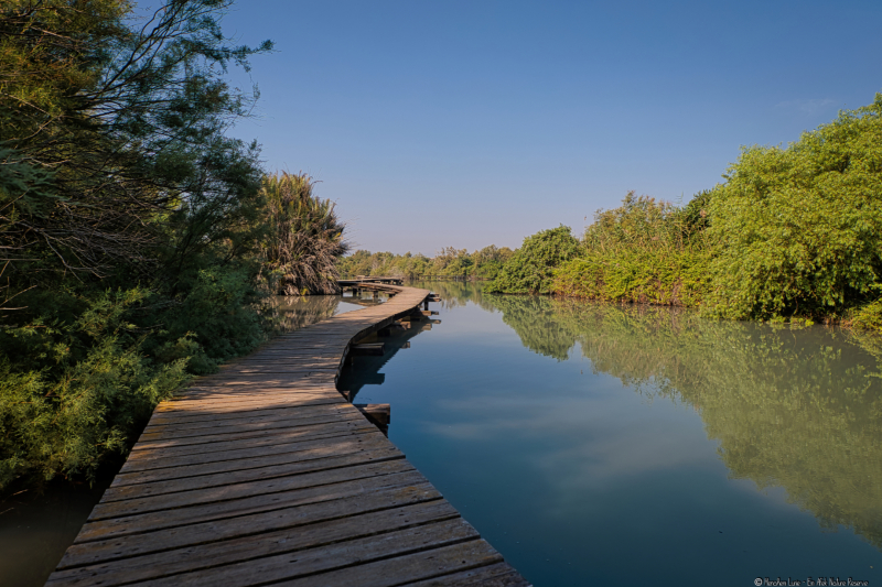 01-Ein-Afek-Nature-Reserve
