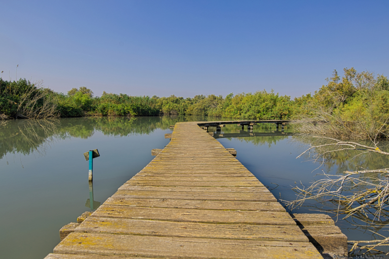 02-Ein-Afek-Nature-Reserve