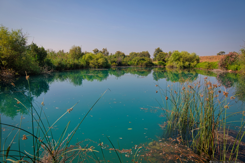 03-Ein-Afek-Nature-Reserve