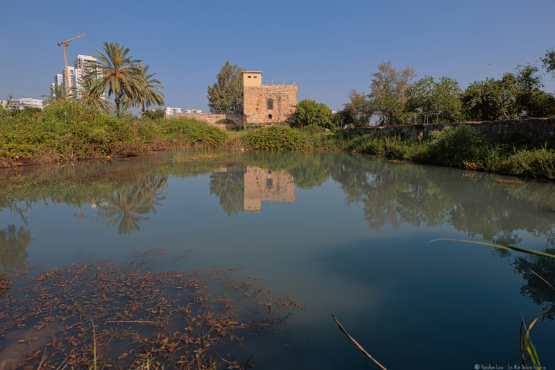 04-Ein-Afek-Nature-Reserve